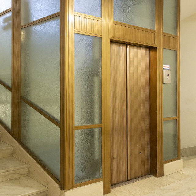 Ascensor doméstico Ostar/ascensor de villa/ascensor doméstico